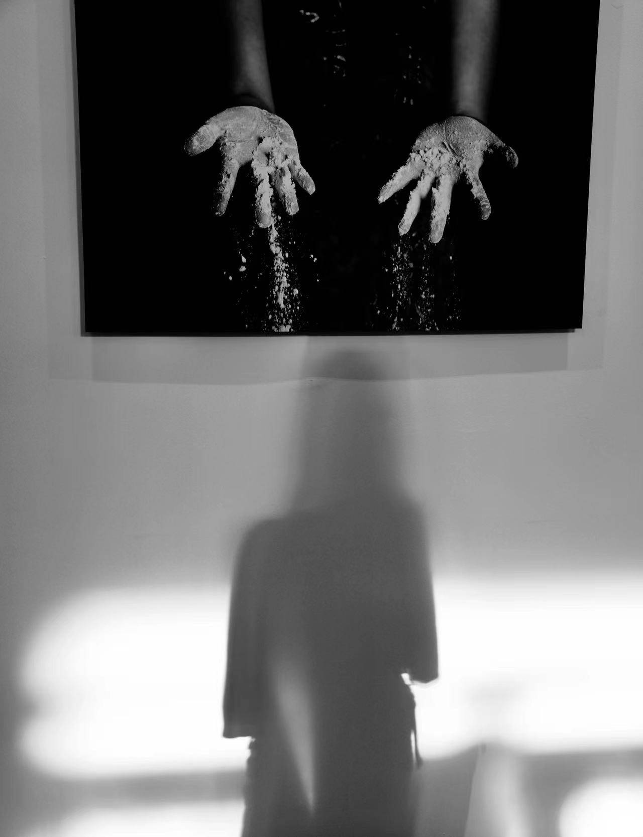 赵涌民陈金妹傅世平陆 文骆金星柳松薛金凤邹佩飞王济华顾培年孙明