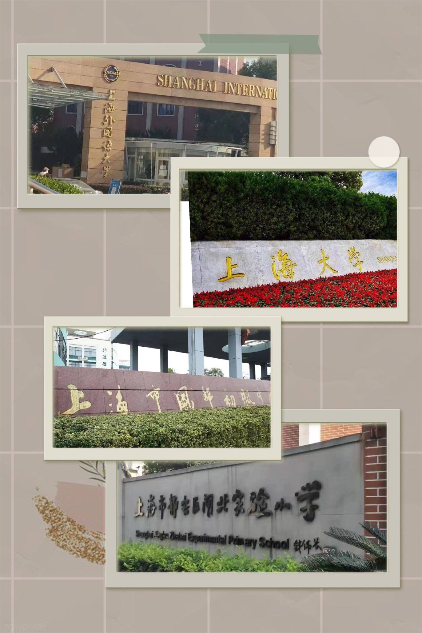 上海大学等著名高等院校;市北中学,风华初级中学,大宁国际小学,闸北