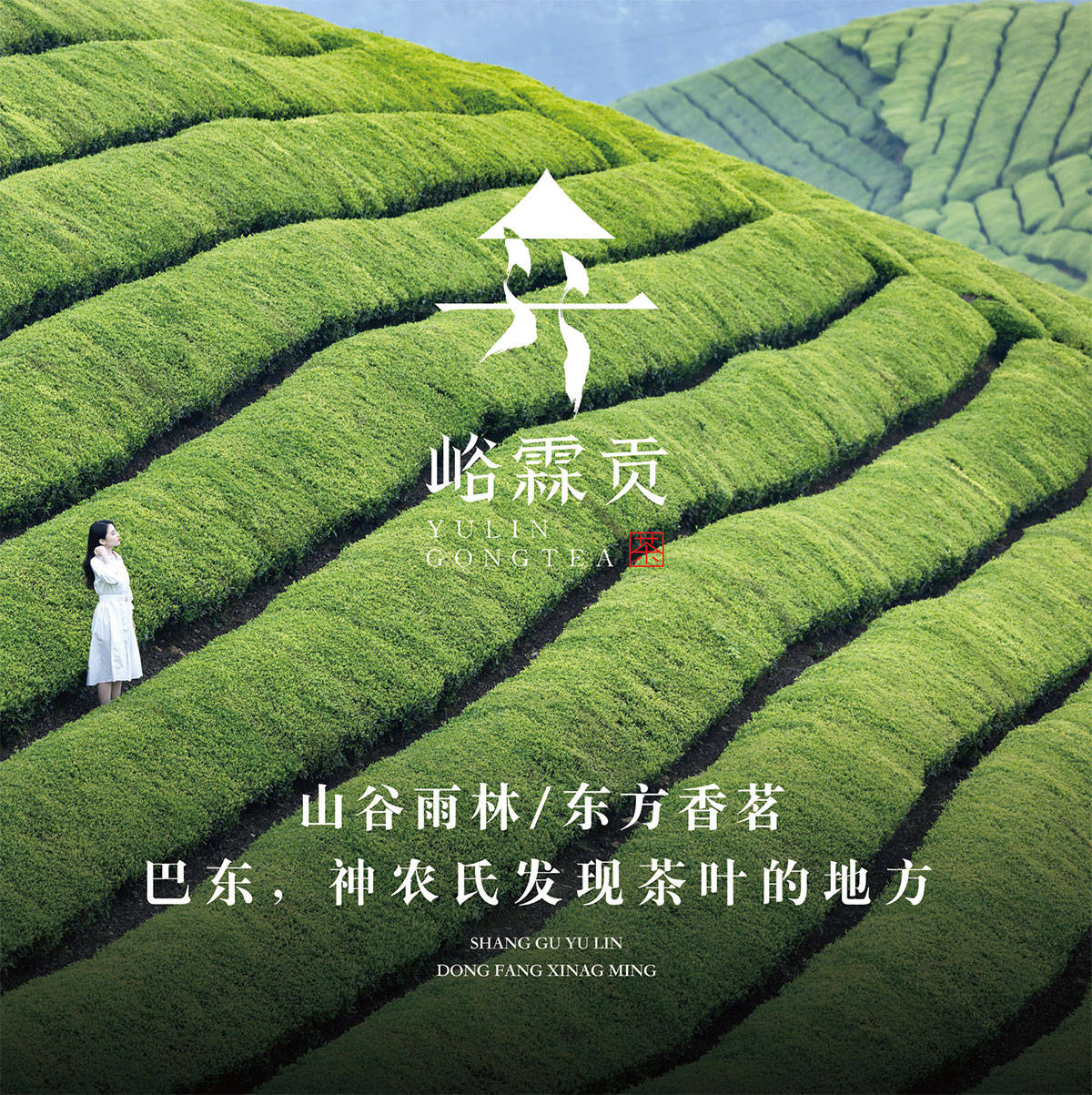 峪霖贡恩施玉霞品牌包装设计