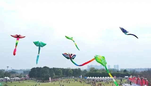风筝队伍300余人参加比赛和现场放飞表演,首次全国青少年制作放飞赛也