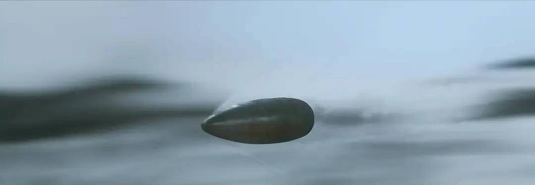 当张桃芳的子弹穿过对手的头颅时,对手点射的子弹贴着他的头皮飞了