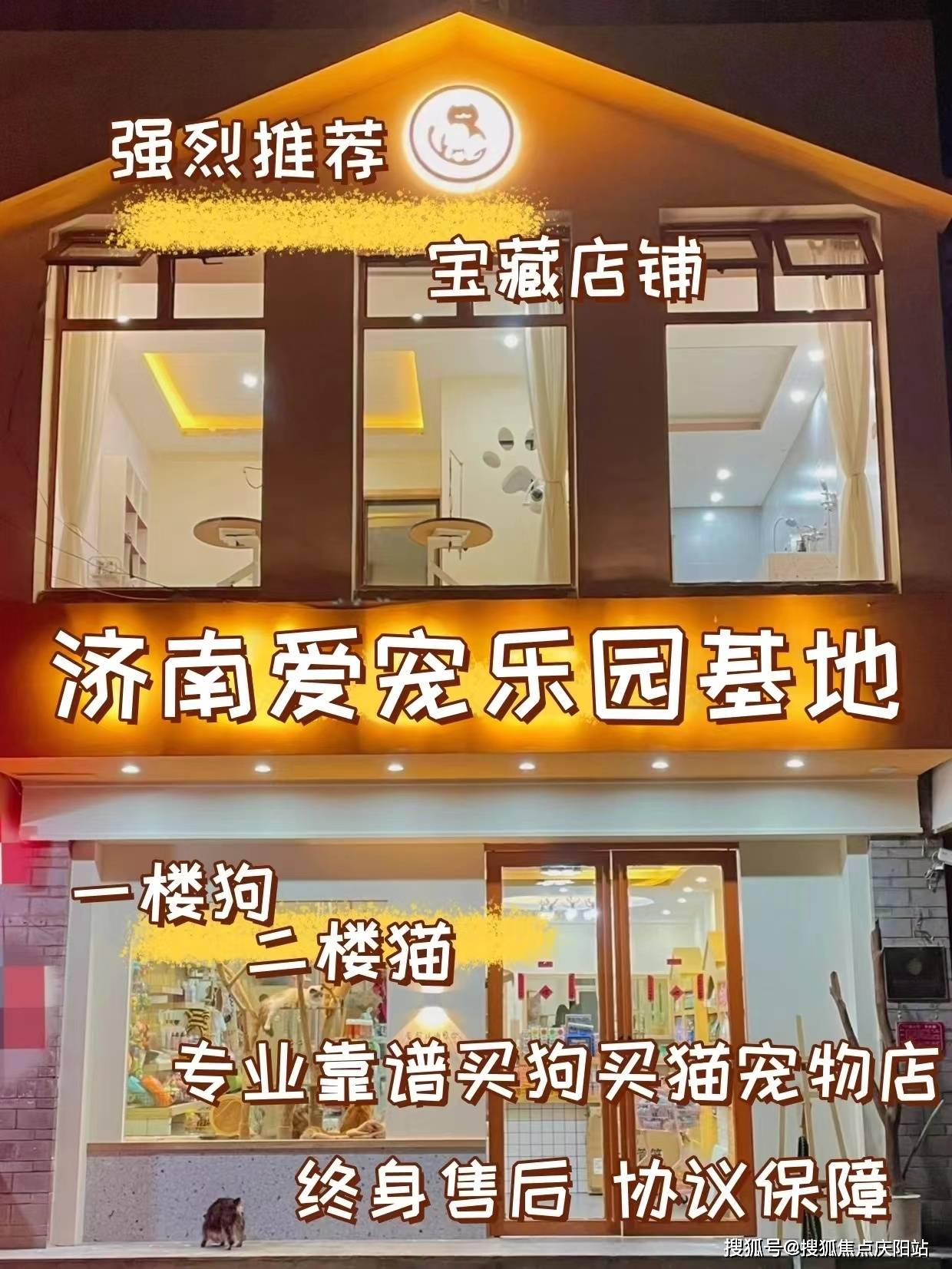 一介绍,支持提前预约线下实体店一对一挑选宠物,济南正规犬舍猫舍基地