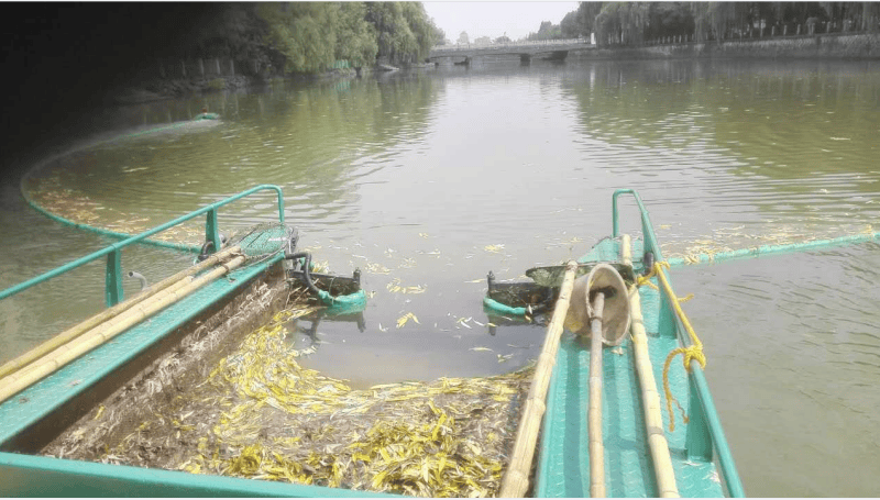 水面垃圾漂浮物太多快来看看阿尔法智能保洁船