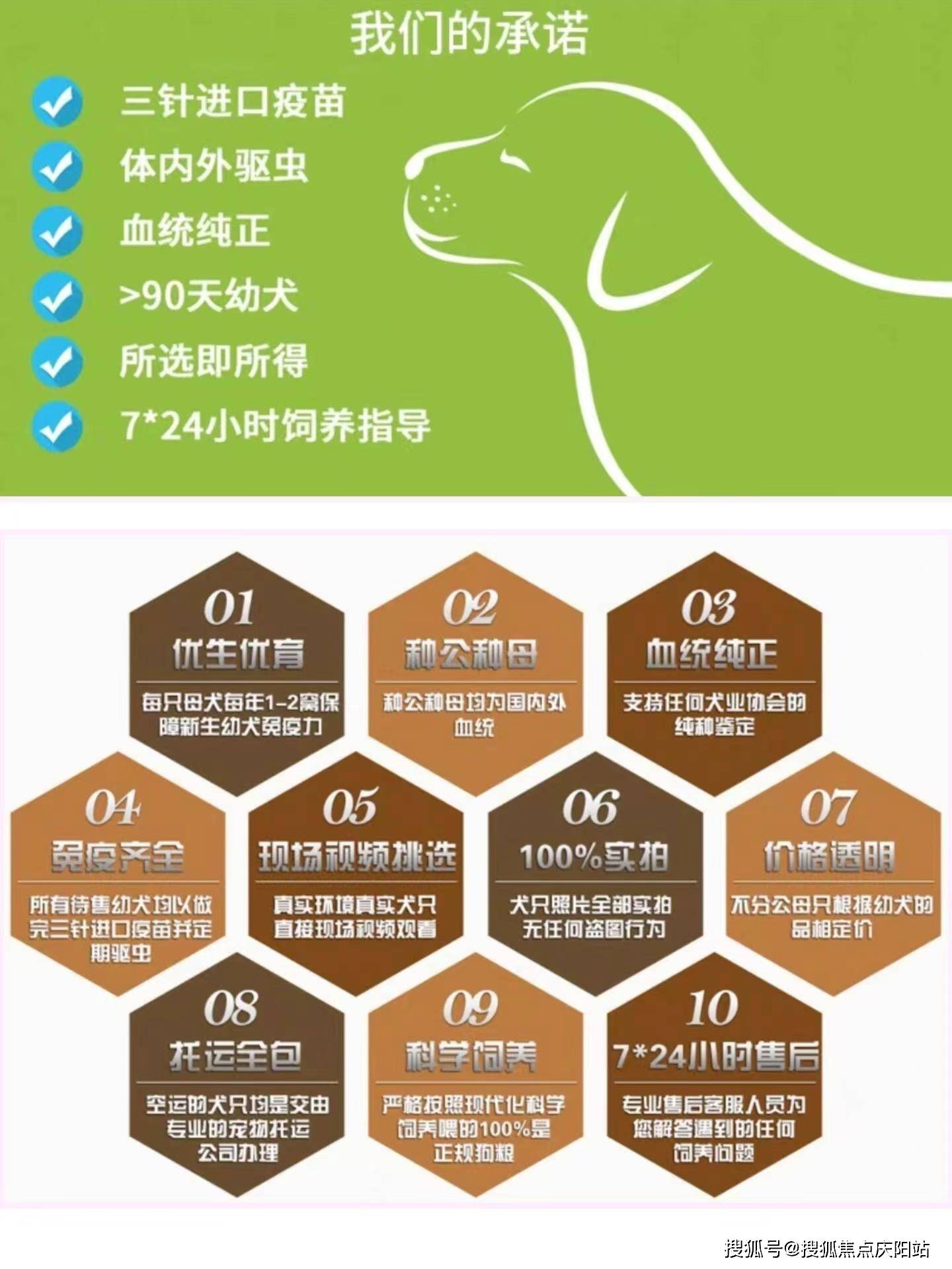 包含北京中医医院、丰台区贩子联系方式《提前预约很靠谱》的词条