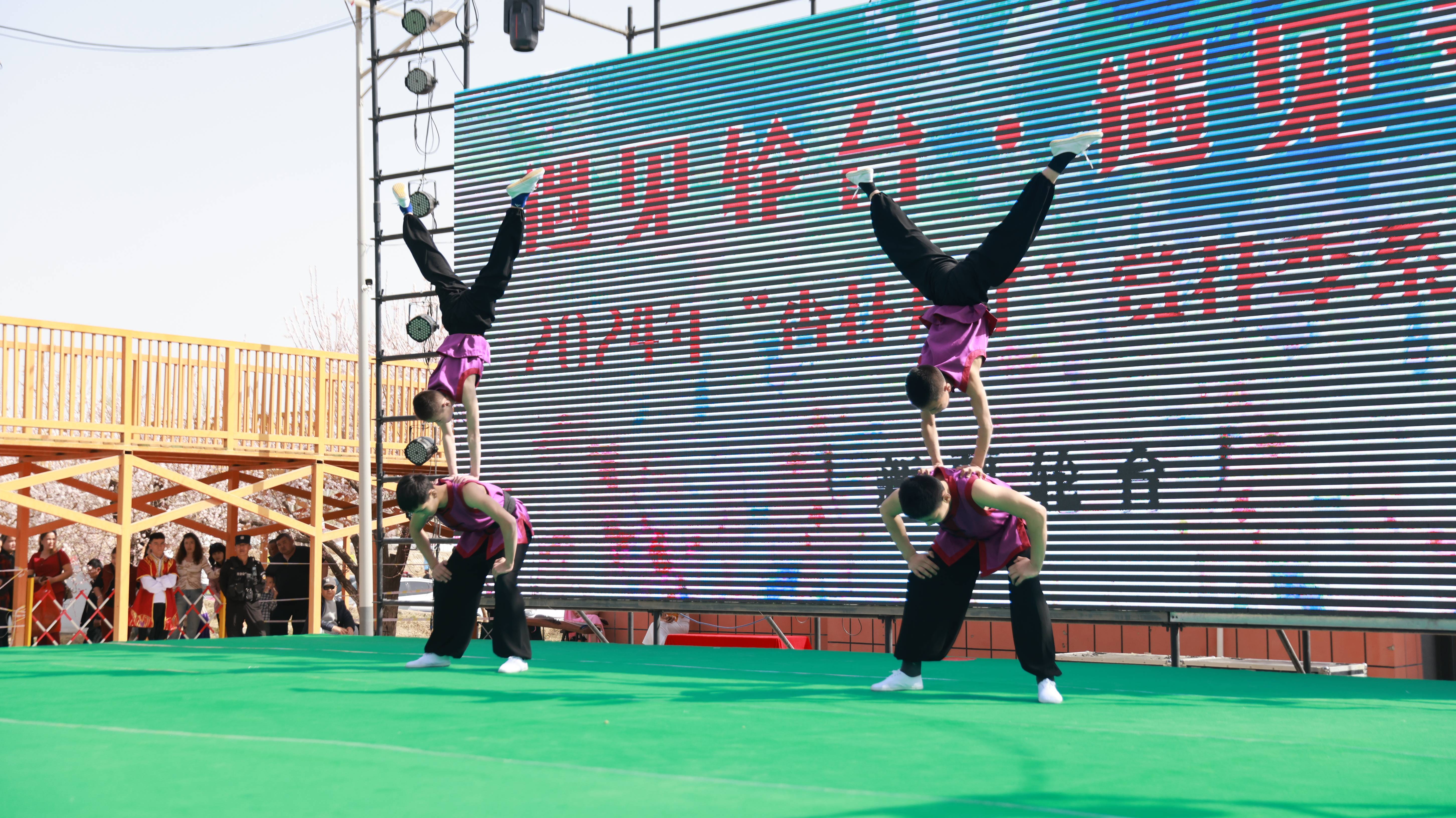 轮台县遇见轮台遇见幸福2024年杏花开了赏花季系列活动开幕