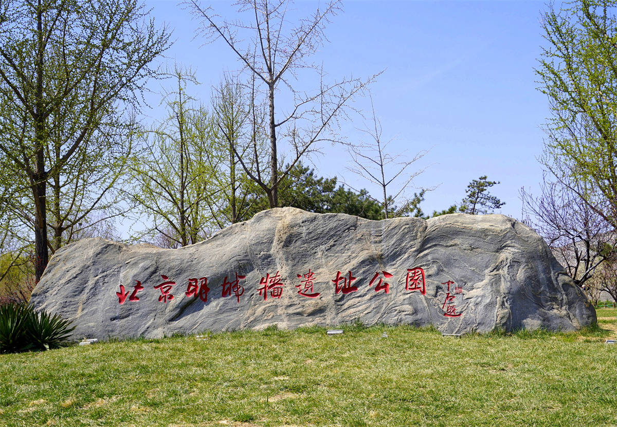 花为媒的明城墙遗址公园_梅花_人们_鲜花