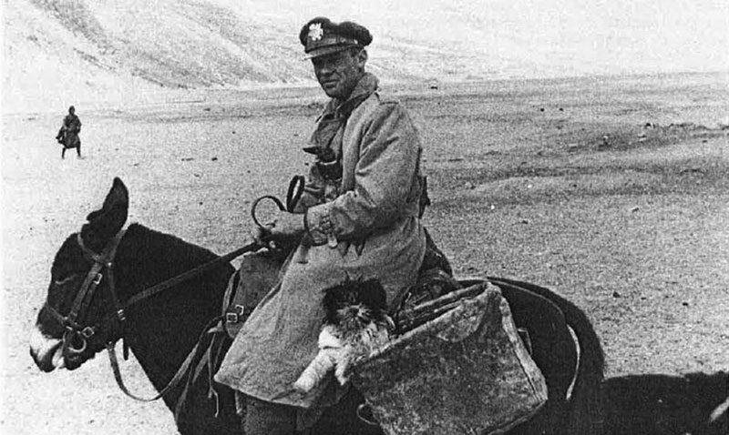 原创美军上尉多兰为何自杀八路母亲曾为掩护他在地道里捂死了亲儿