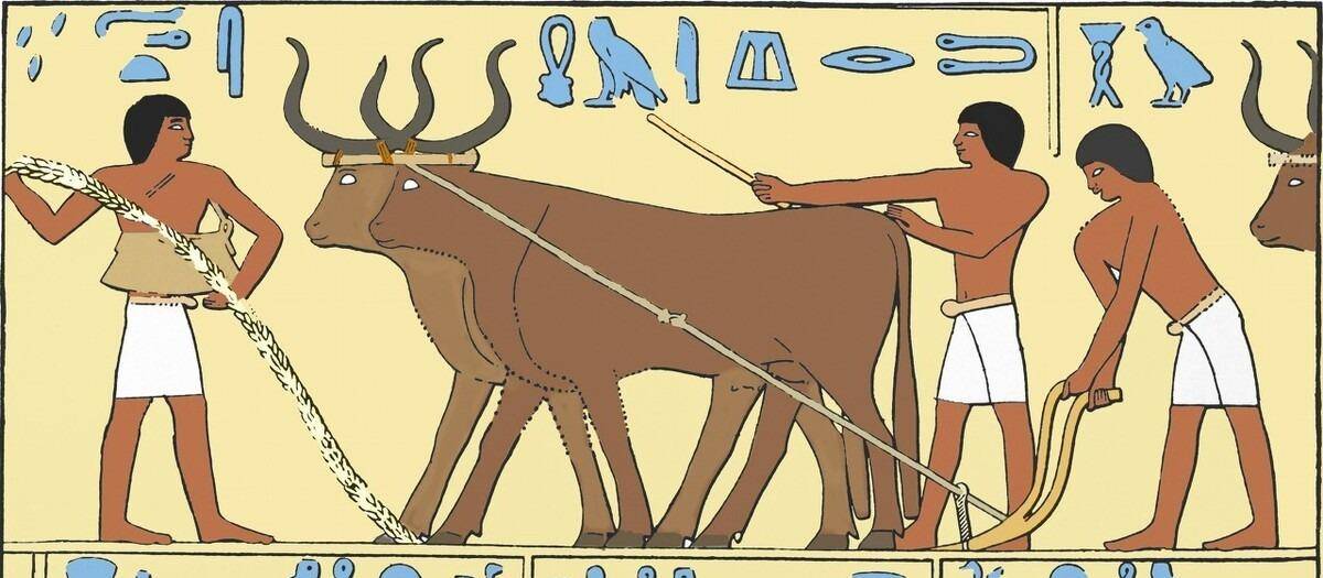 原创创建人类历史上首个超级大国美尼斯凭什么一代枭雄却死的奇葩