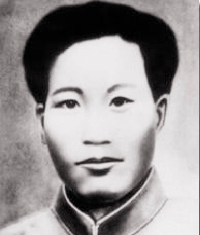 曾:长得和夏明震一个样子_蔡协_革命_孩子