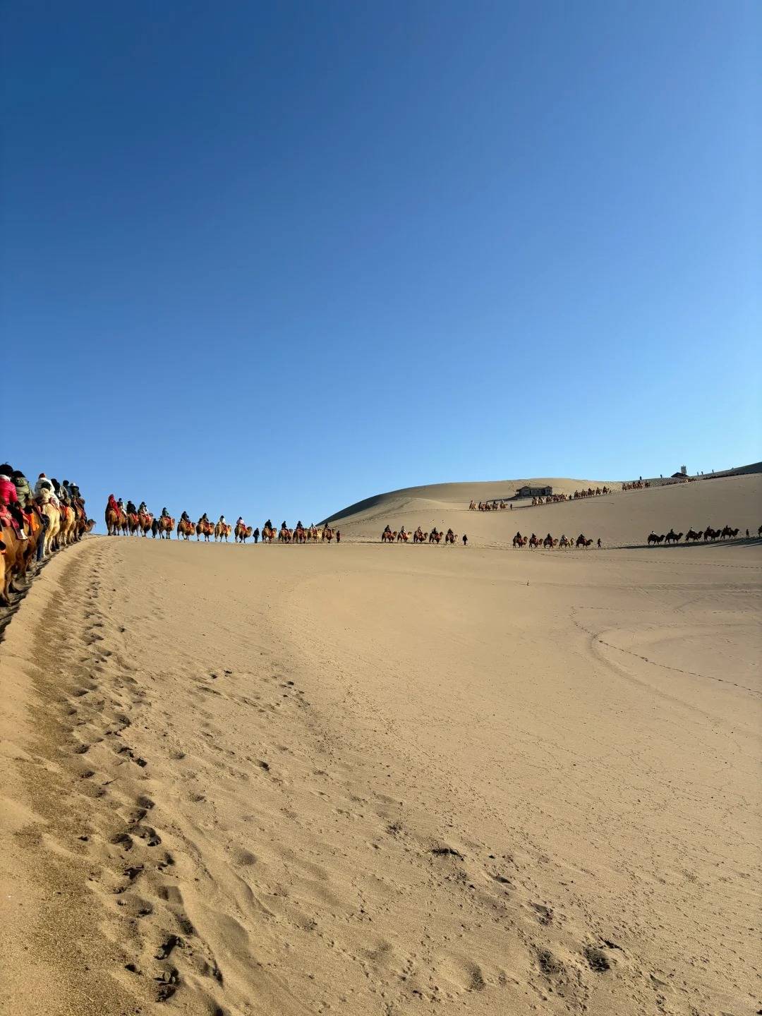 「大西北旅游景点大全排名」✅ 大西北旅游景点大全排名图片