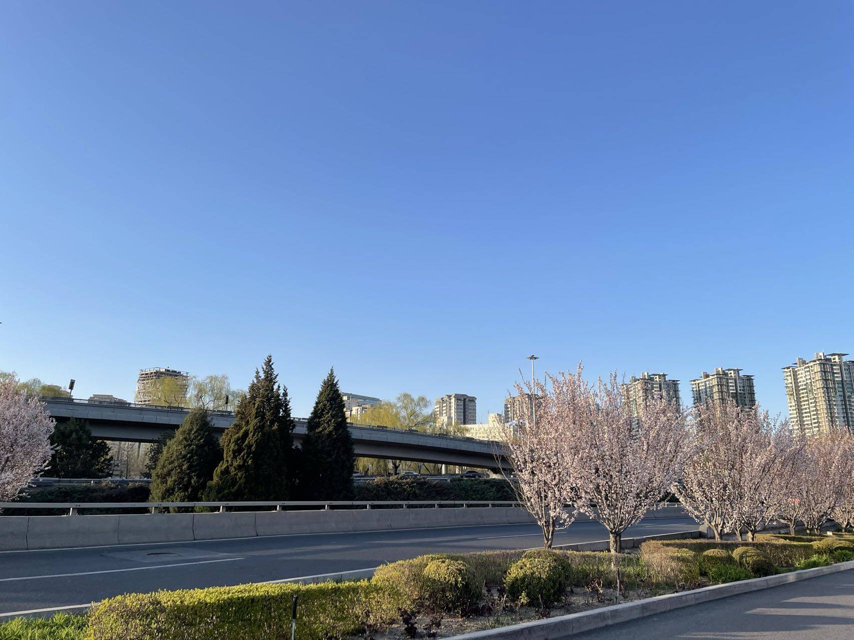 ai医疗热门股塞力医疗被立案调查投资者可准备索赔了