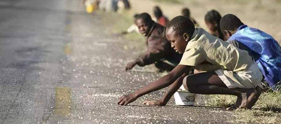 原创原创坐公交3万亿100万亿只够买3个鸡蛋津巴布韦为何穷得只剩钱