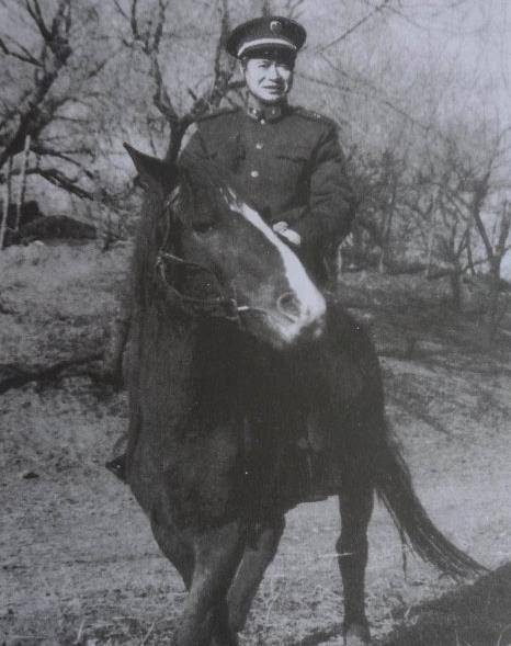 于是儿子去摆地摊卖西瓜拉板车送货_冷鹏飞_关系_社会