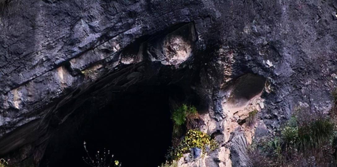 原创原创贵州惊现神秘水上墓葬巨蛇守护不让人靠近专家冒险揭密真相