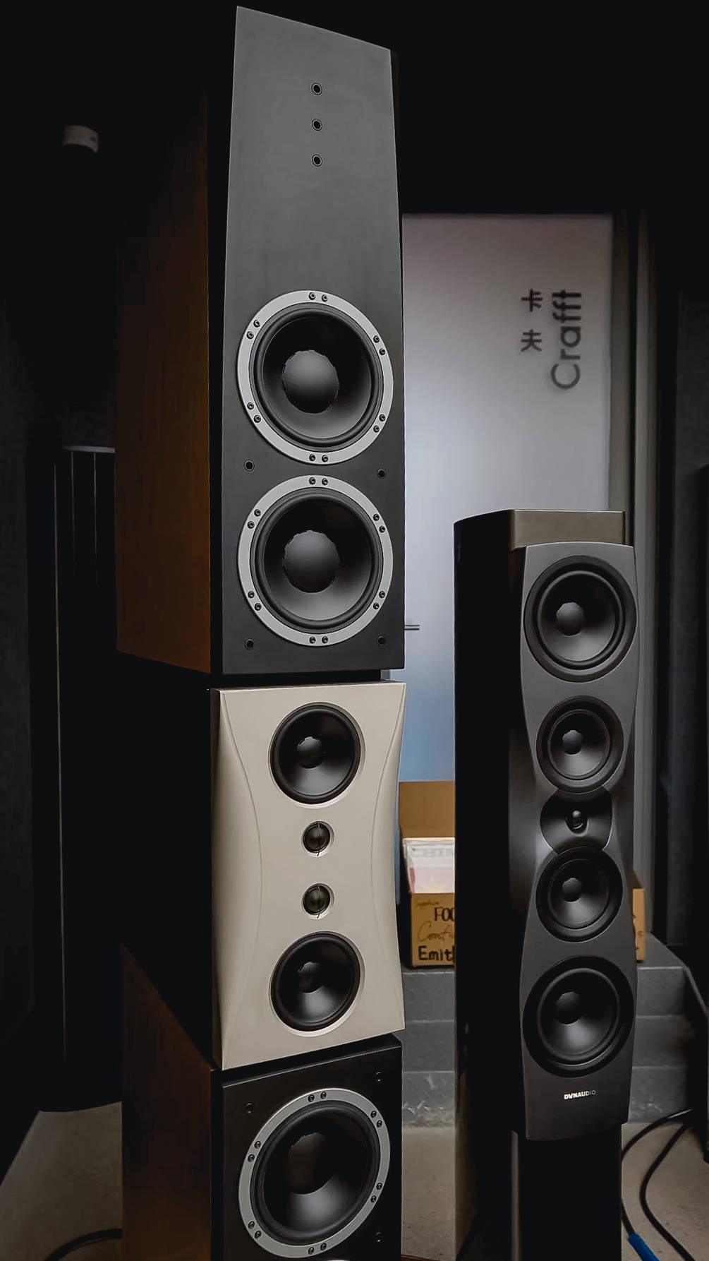 以车为媒,以音会友 | 丹拿 x 仰望 共赴热爱寻臻之旅