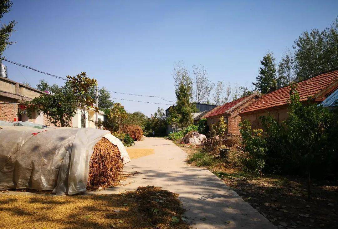 原创淮海战役实地考察及历史之碾庄_国民党_兵团_黄伯韬