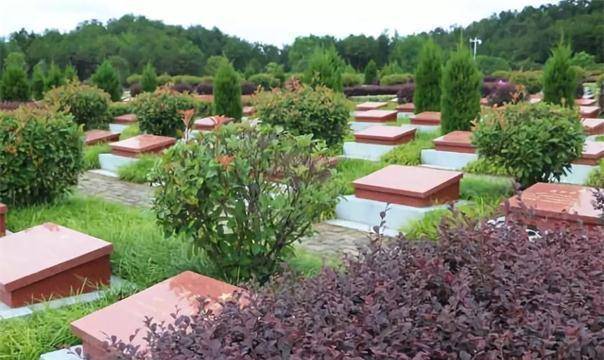 余天云,又名福生,1911年农历十一月二十一日生于湖北省黄安县(今红安