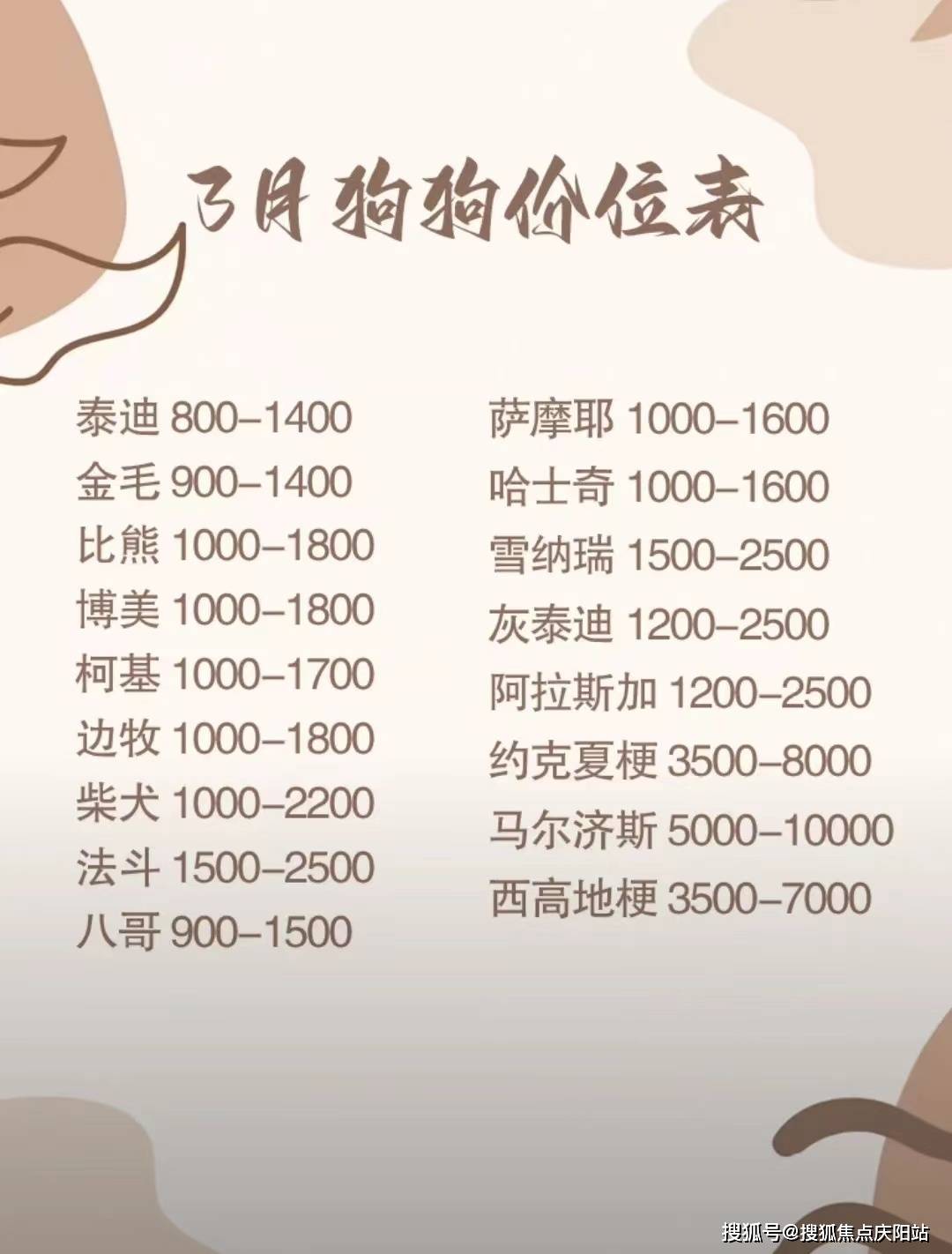 东莞柴犬宝宝首页网站东莞柴犬宝宝多少钱一只买丨柴犬宝宝多少钱一只