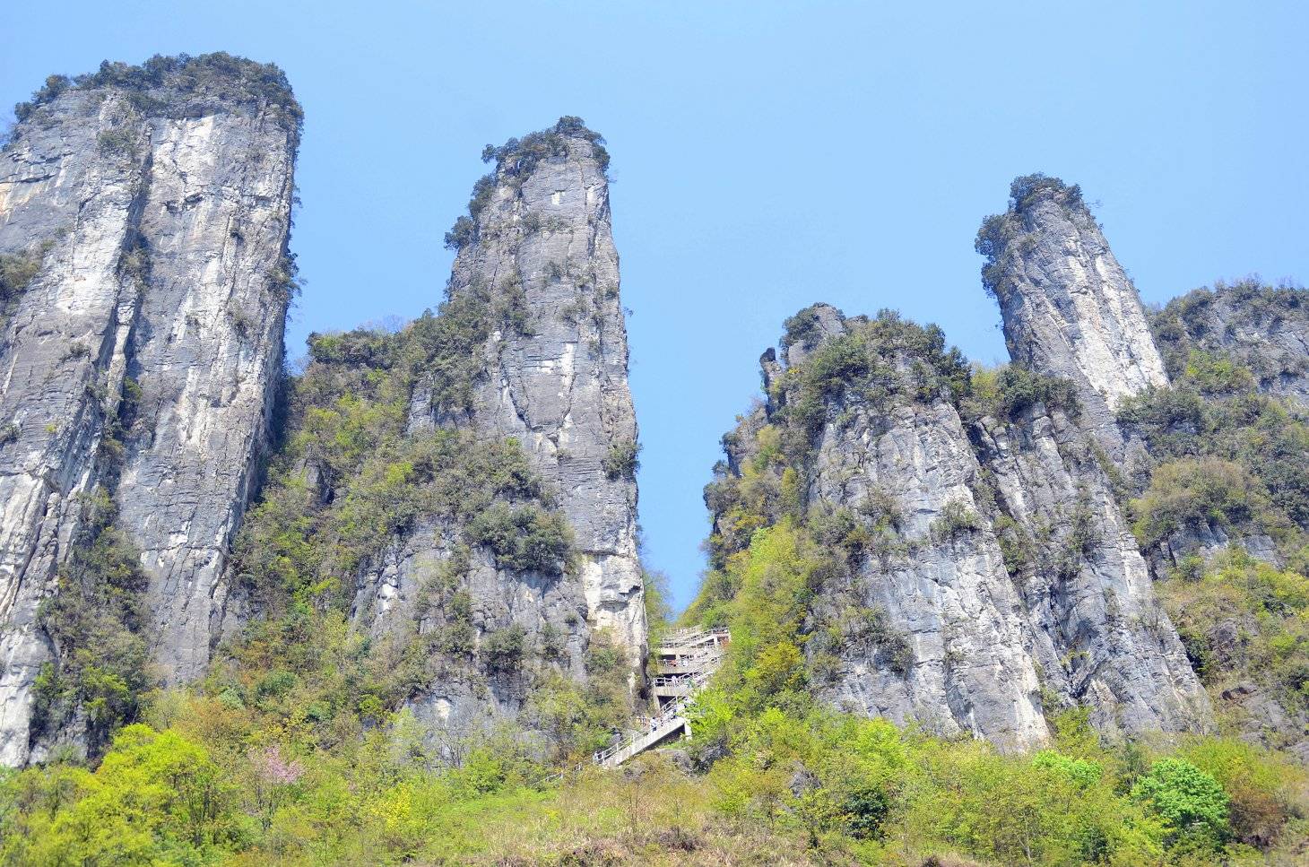 宁夏到恩施旅游旅游团要多少钱宁夏到恩施旅游旅游团攻略及费用