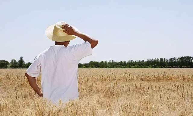 王福重只有农民彻底放弃土地国家才能富强