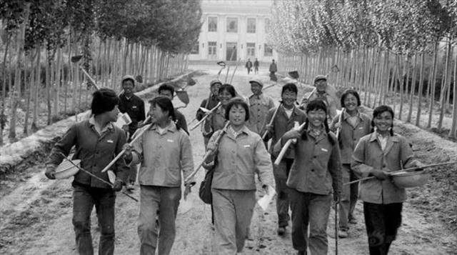 小结:这桩悬案看似没有下文,但其结果早已尘埃落定,逝者安息.