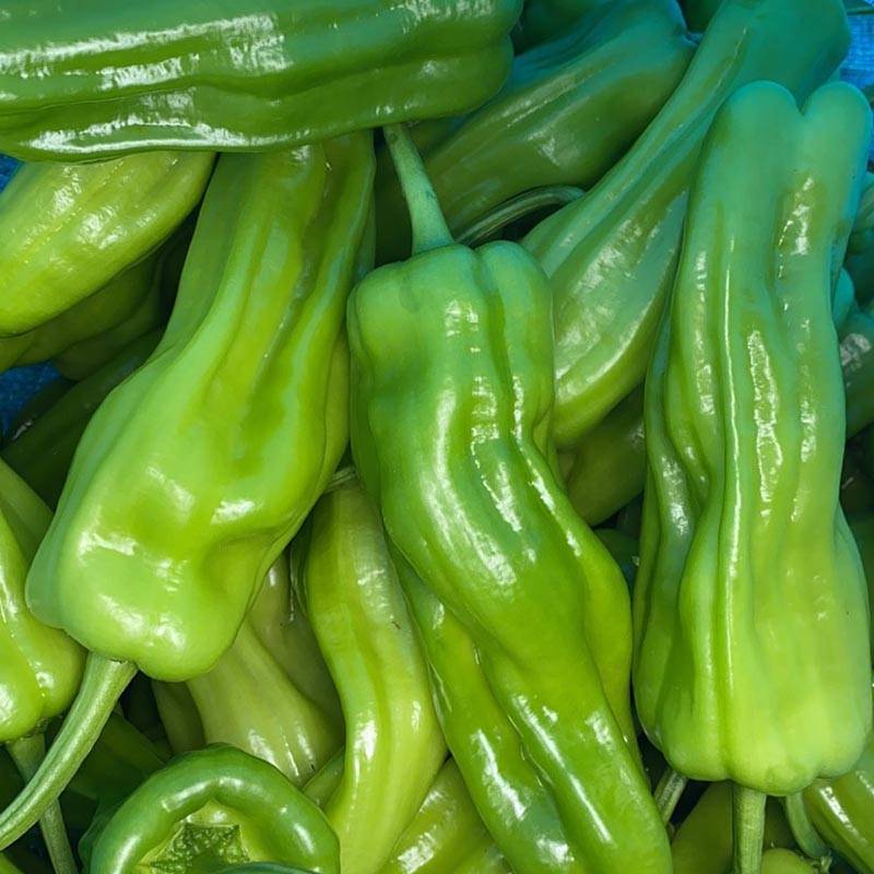 4,根据辣椒不同生长阶段,合理安排肥水管理.