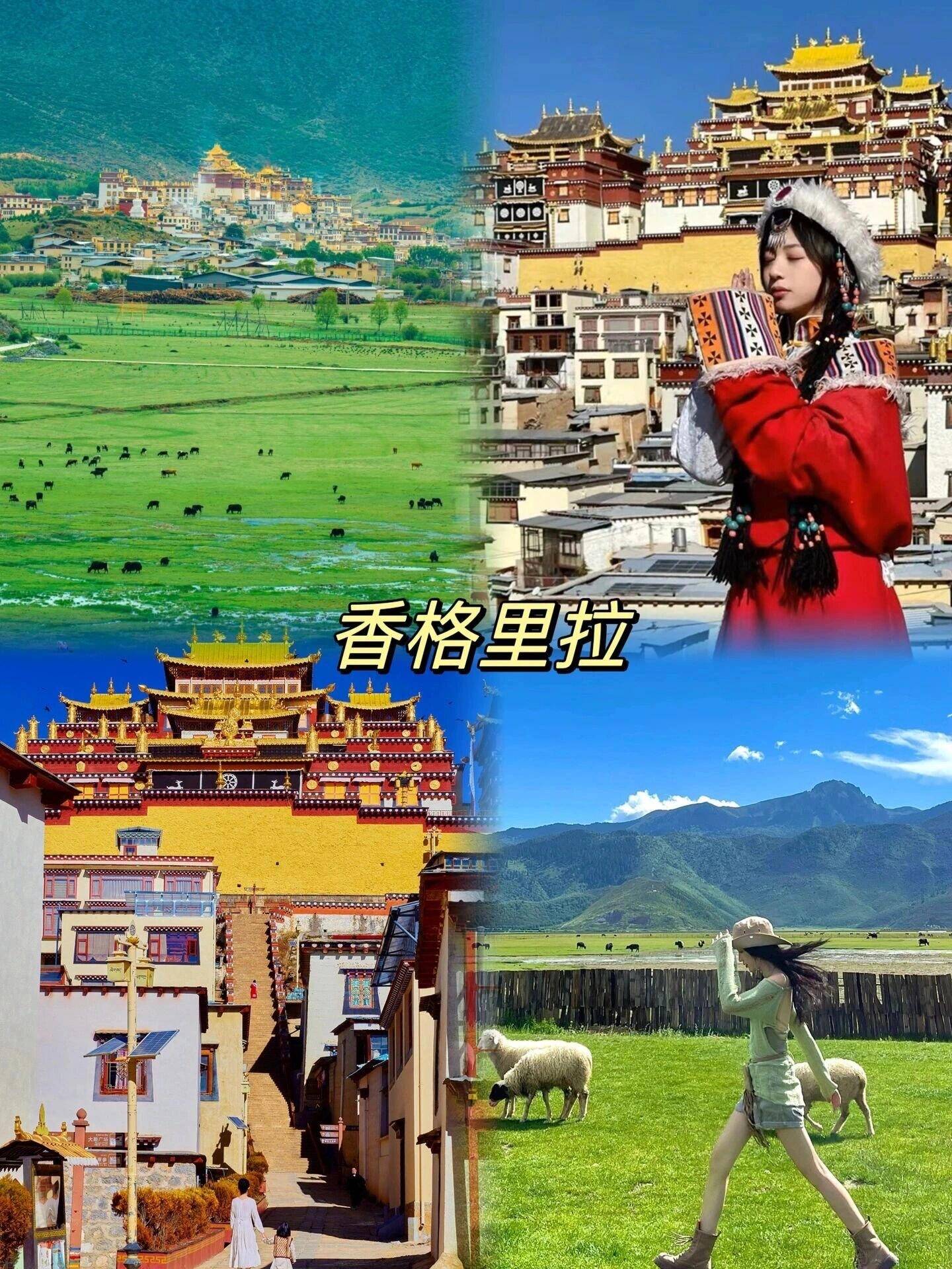 为什么去云南旅游要报旅游团云南5日游出行旅游攻略有这篇攻略不迷路