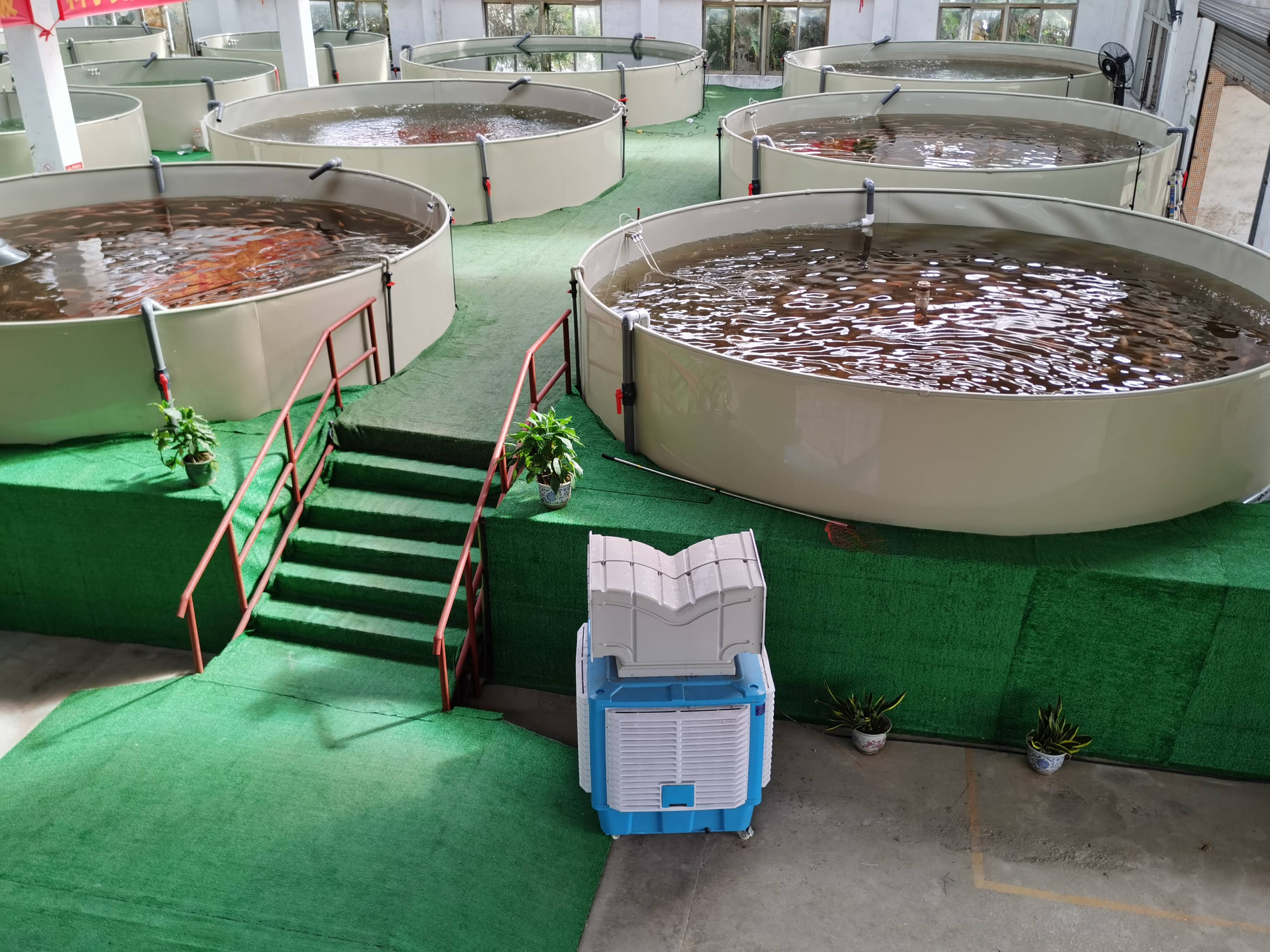 佛山市辉创众兴农业生物科技有限公司领航——循环水养殖技术引领水产