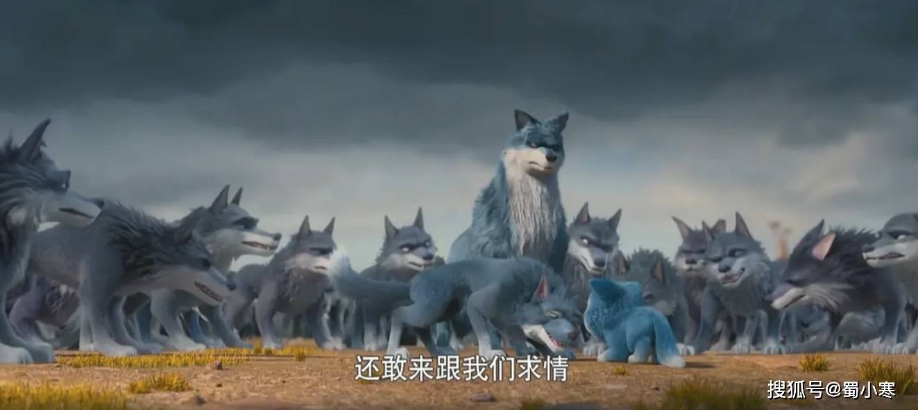 熊出没:小狼女飞飞和外星猫阿布各方面都相似,但阿布却更加幸运