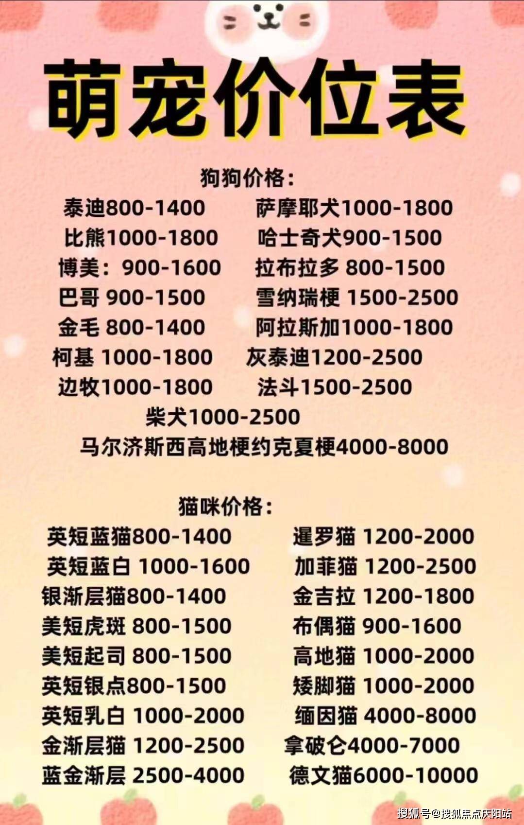 南昌买金毛狗首页网站南昌红谷滩区买金毛狗哪里便宜