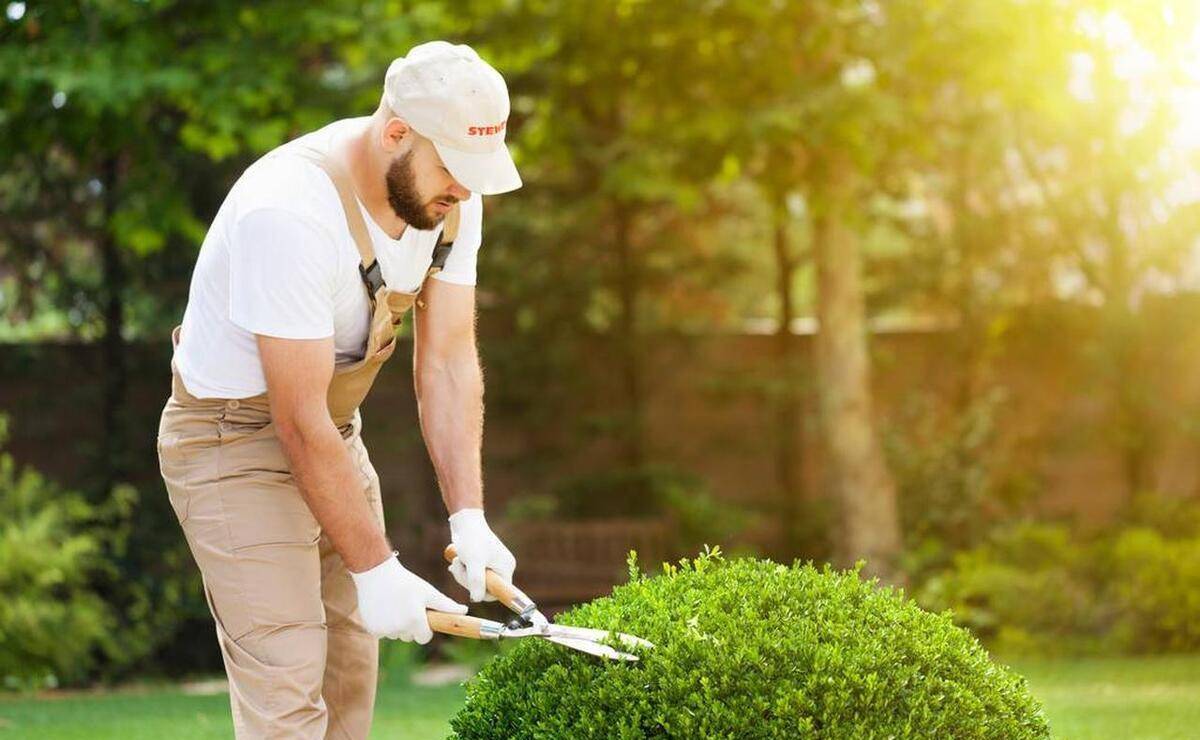 园林绿化工程师证书怎么获得考试难吗报名时间报名流程出证周期