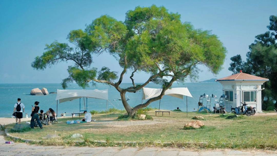 厦门三天两晚旅行攻略最详细厦门三天两晚旅行必去景点