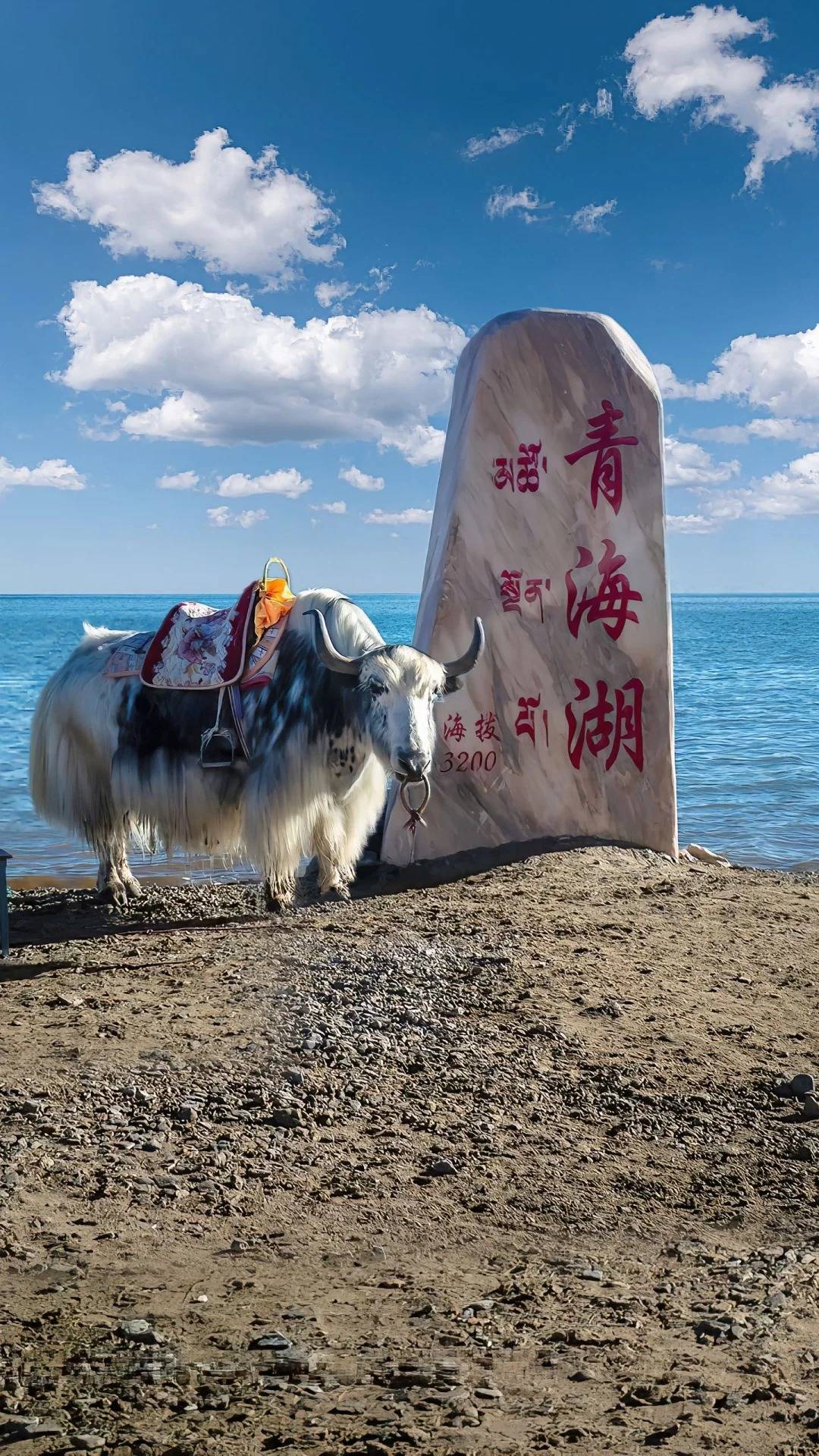 青海湖风景区,位于海南藏族自治州共和县,是中国蕞大的的内陆咸水湖