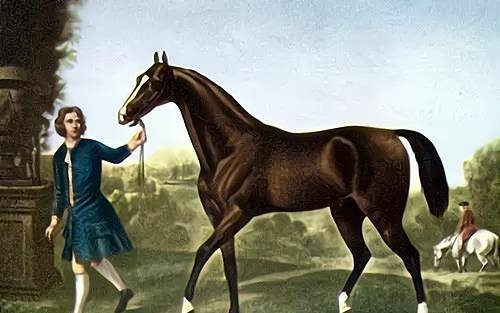 奥尔格夫快步马的培养者是阿列克谢·奥尔洛夫,也就