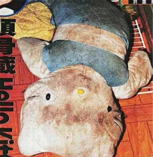 原创女子在回家路上神秘失踪与3个魔鬼共处一月最后她怎样了