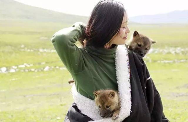 原创11年前四川女孩李微漪把1匹狼当儿子对待后怎么样了