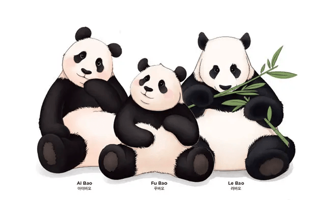 韩国官宣为大熊猫福宝拍摄电影 正在和中国协商上映事宜