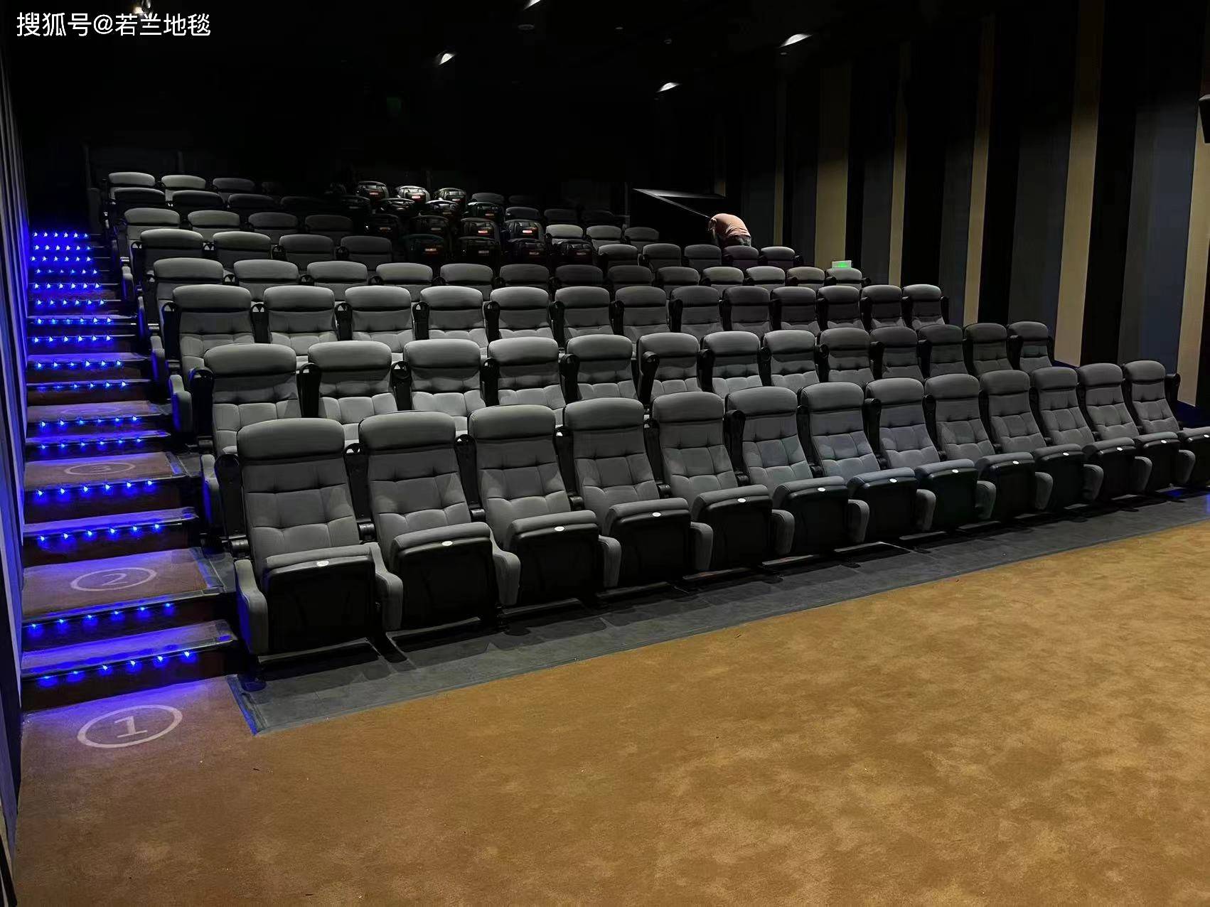 电影院地毯 影视厅地毯现货销售批发工厂 若兰地毯来图可制作