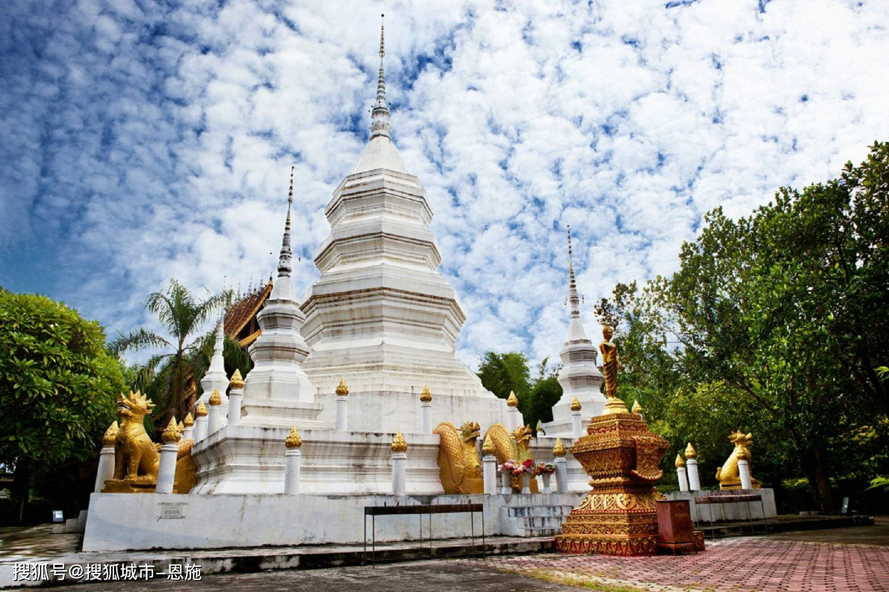 云南西双版纳旅游攻略报团攻略,看完就知道了