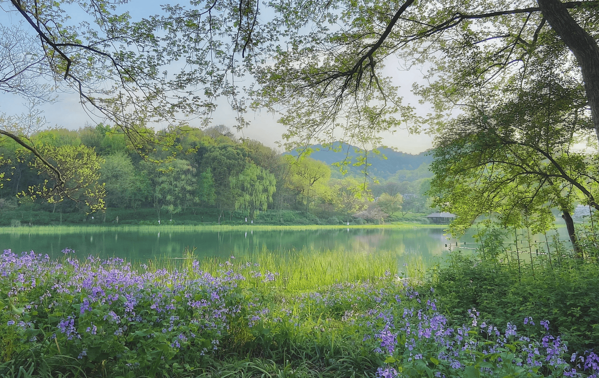 1月5日全生肖运势表(2021年1月5日特吉生肖播报)