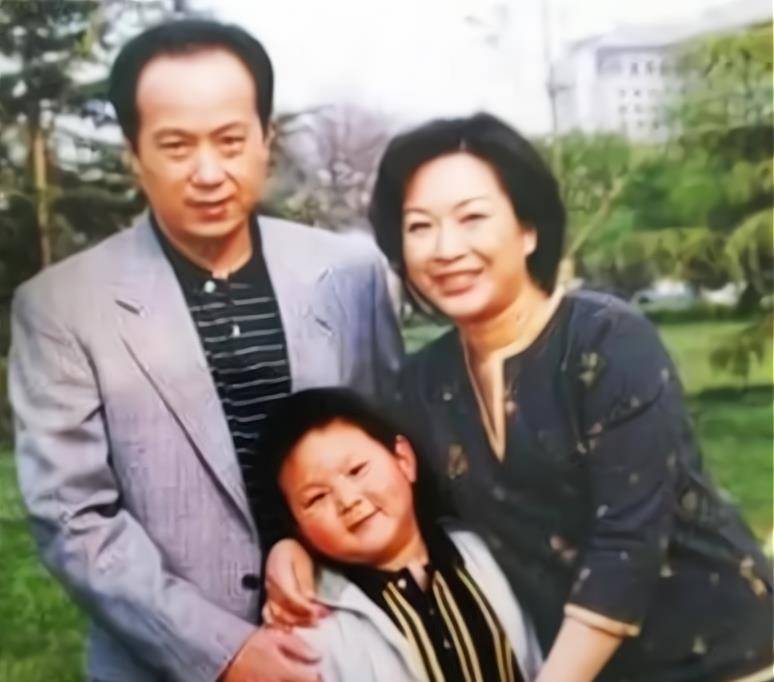 罗京逝世11年,妻子已改嫁富商,为何墓地却出现怪相?