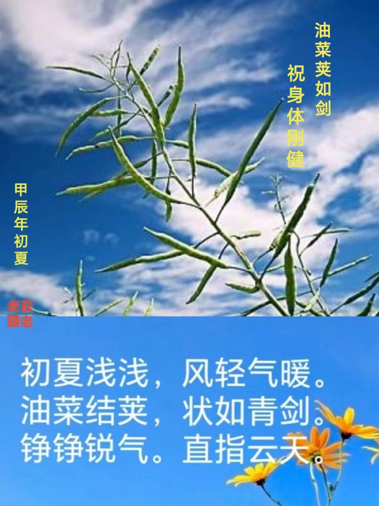 还有特出,杰出的意思,如英挺,挺拔.