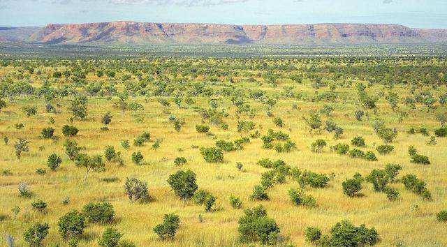 加拿大和澳大利亚都是领土大国,哪个国家的宜居面积更大?