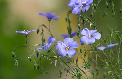 甲辰,乙巳年,有姻缘到来的女命