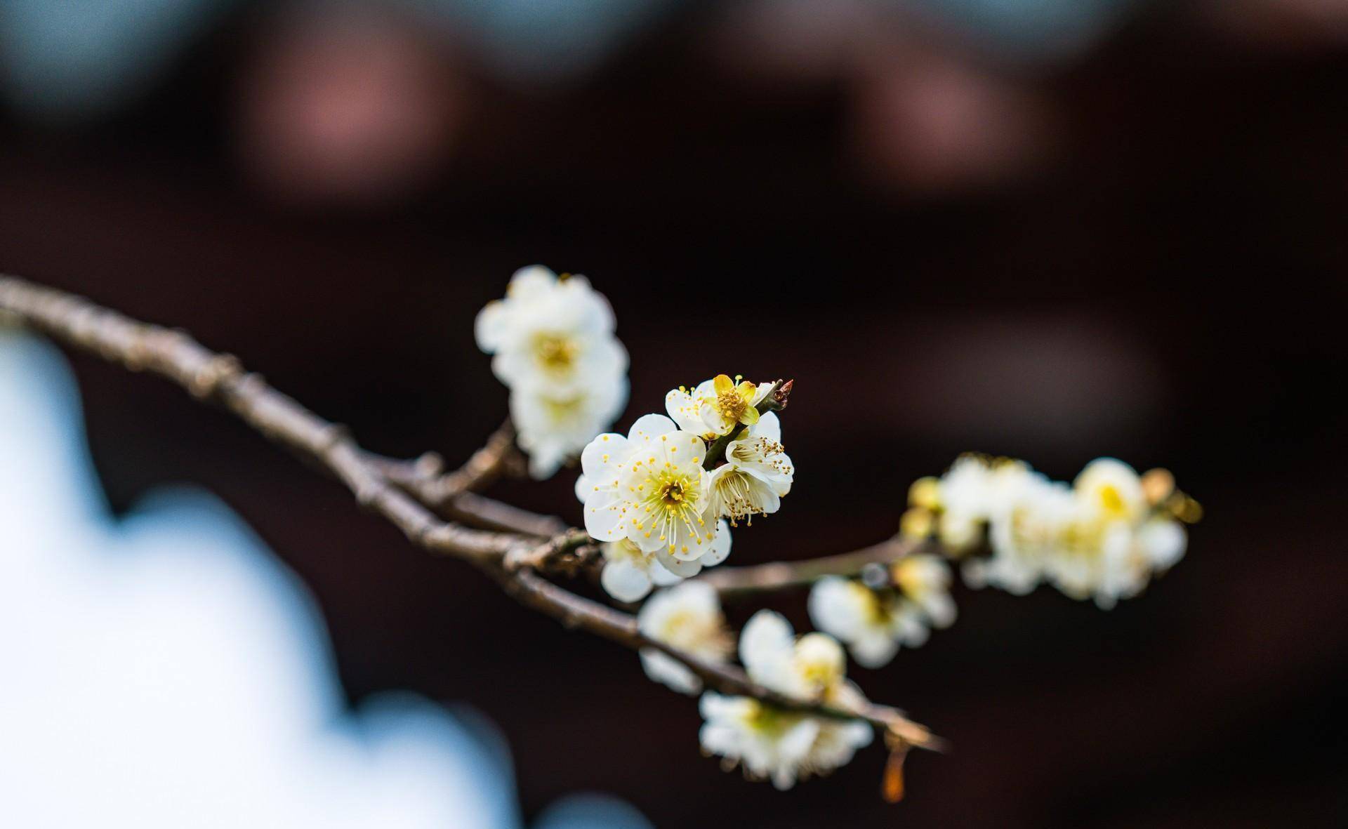 一个人这样对你,其实就是嫌弃你,不管是谁都别交往了_对方_信礯人际