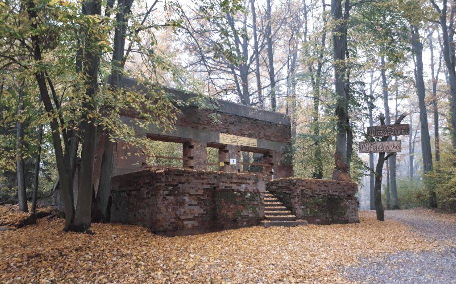 对波兰人来说,这片废墟见证了一段令人不愉快的历史;但对欧洲新纳粹