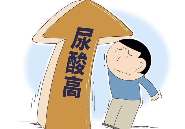 酒精会干扰尿酸的排泄,导致尿酸水平升高,尤其是啤酒中含有大量的嘌呤