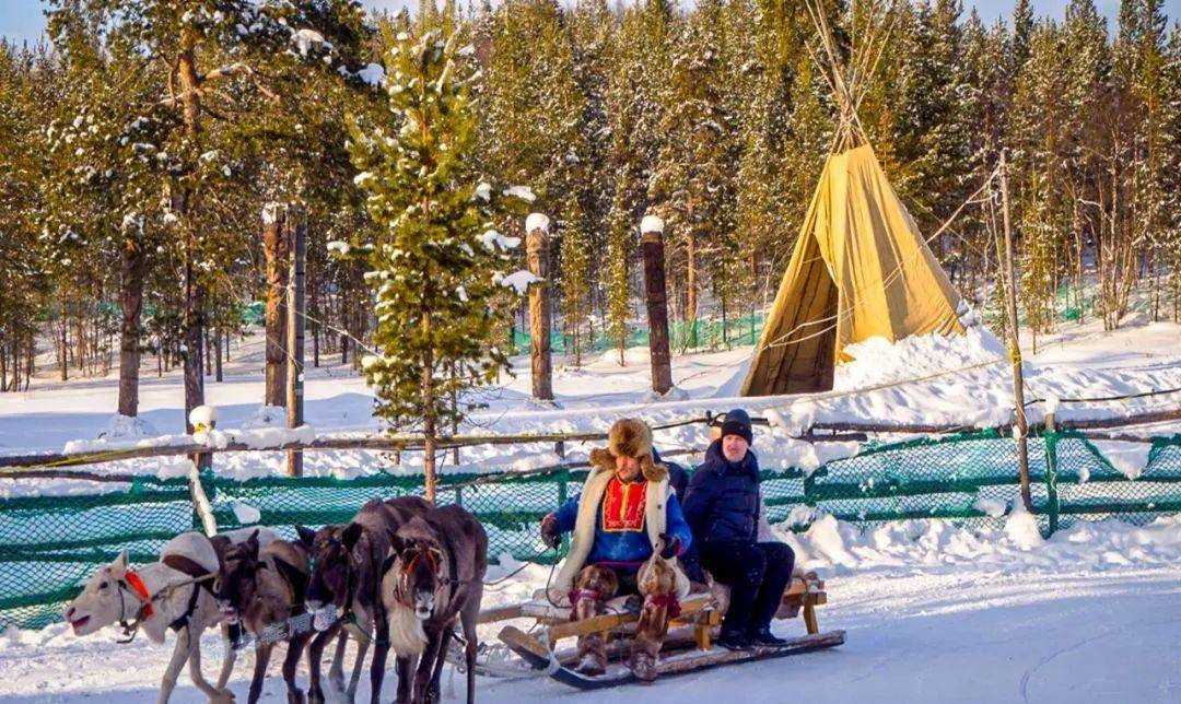 看着他们一圈又一圈的在体验驯鹿车,有时还非要几个人一起乘坐一辆