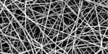紫杉醇纳米粒图片