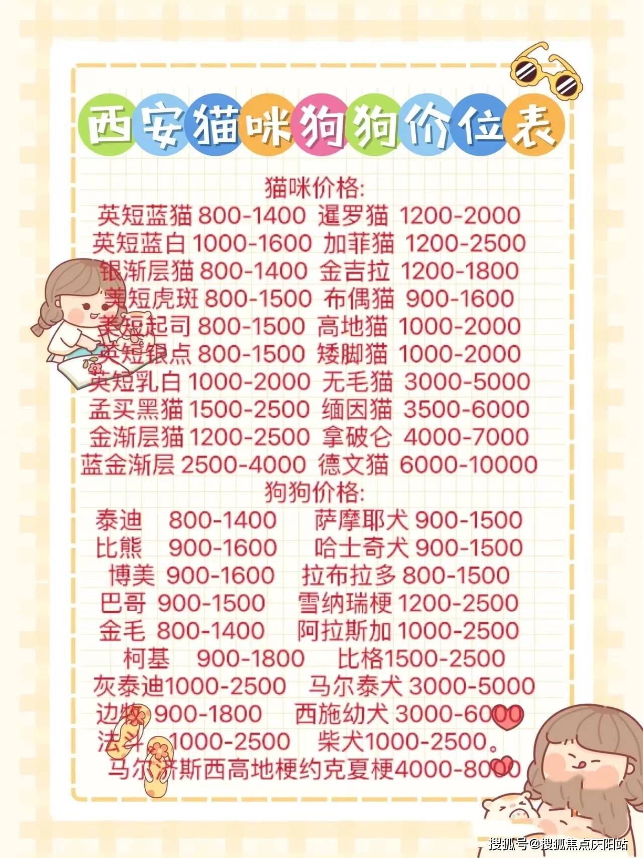 西安未央区买柯基犬多少钱一只【西安福安家猫犬舍】欢迎您